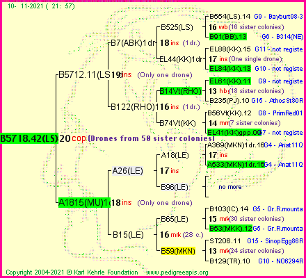 Pedigree of B5718.42(LS) :
four generations presented
it's temporarily unavailable, sorry!