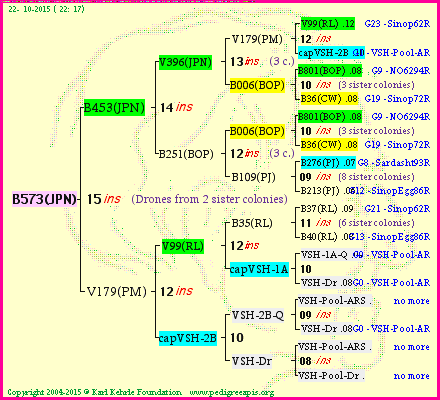 Pedigree of B573(JPN) :
four generations presented