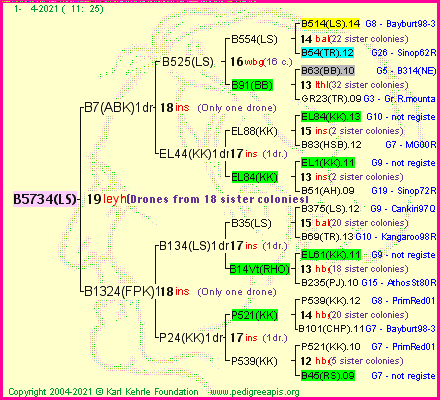 Pedigree of B5734(LS) :
four generations presented
it's temporarily unavailable, sorry!