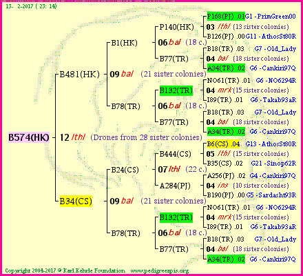 Pedigree of B574(HK) :
four generations presented