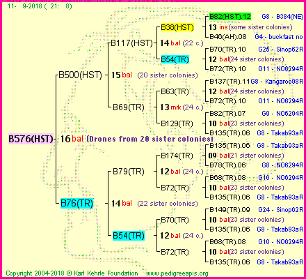 Pedigree of B576(HST) :
four generations presented