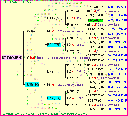 Pedigree of B576(MBH) :
four generations presented<br />it's temporarily unavailable, sorry!