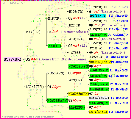 Pedigree of B577(DK) :
four generations presented