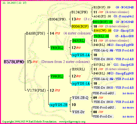 Pedigree of B578(JPN) :
four generations presented