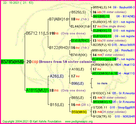 Pedigree of B5785(HSB) :
four generations presented
it's temporarily unavailable, sorry!