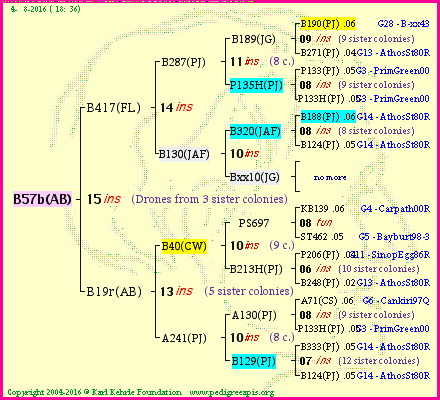 Pedigree of B57b(AB) :
four generations presented