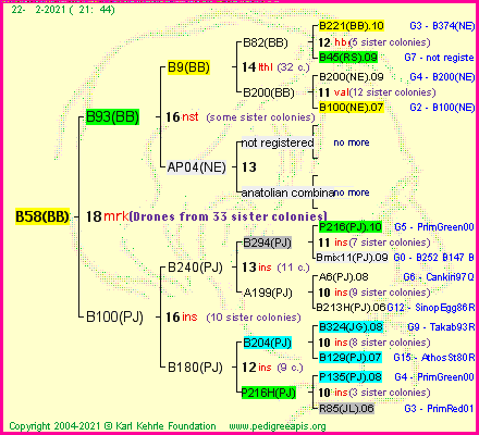 Pedigree of B58(BB) :
four generations presented
it's temporarily unavailable, sorry!