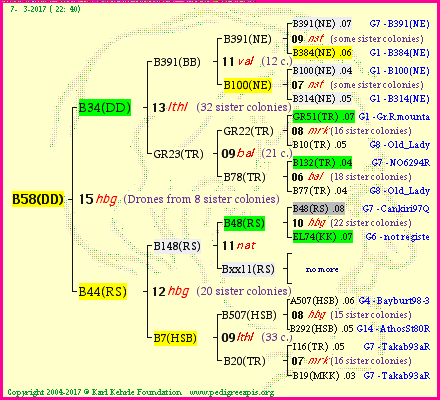 Pedigree of B58(DD) :
four generations presented<br />it's temporarily unavailable, sorry!