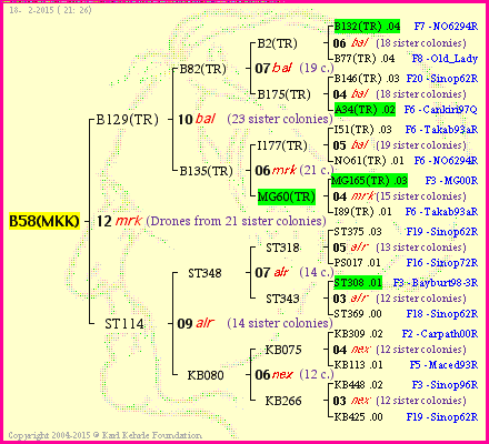 Pedigree of B58(MKK) :
four generations presented