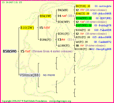 Pedigree of B58(SW) :
four generations presented