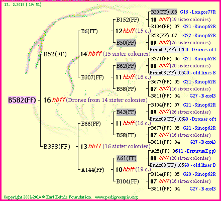 Pedigree of B582(FF) :
four generations presented