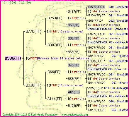 Pedigree of B586(FF) :
four generations presented
it's temporarily unavailable, sorry!