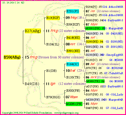 Pedigree of B59(ABg) :
four generations presented<br />it's temporarily unavailable, sorry!