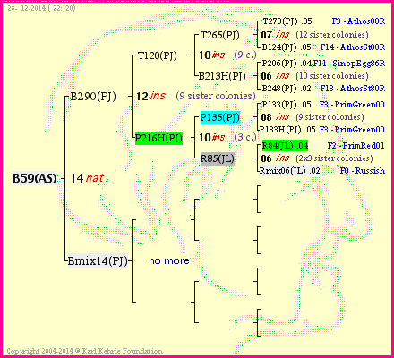 Pedigree of B59(AS) :
four generations presented