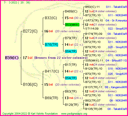 Pedigree of B59(IC) :
four generations presented
it's temporarily unavailable, sorry!