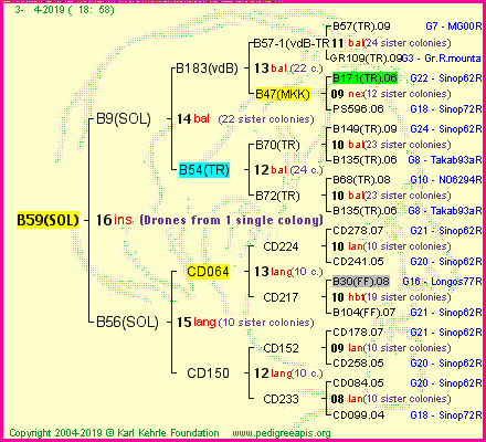 Pedigree of B59(SOL) :
four generations presented<br />it's temporarily unavailable, sorry!