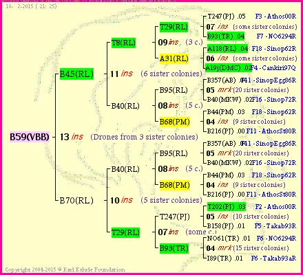 Pedigree of B59(VBB) :
four generations presented