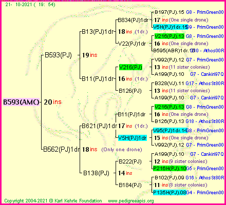 Pedigree of B593(AMC) :
four generations presented
it's temporarily unavailable, sorry!