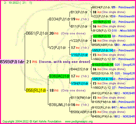 Pedigree of B593(PJ)1dr :
four generations presented
it's temporarily unavailable, sorry!