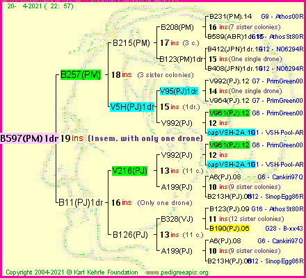 Pedigree of B597(PM)1dr :
four generations presented
it's temporarily unavailable, sorry!