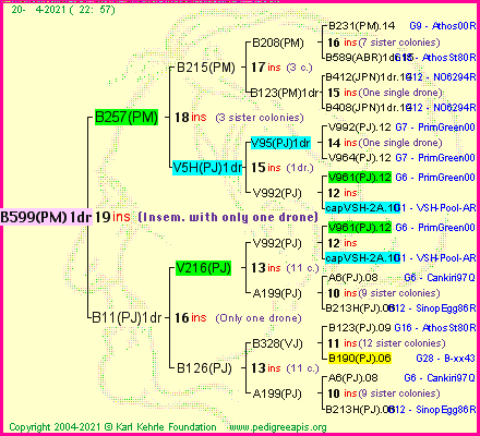 Pedigree of B599(PM)1dr :
four generations presented
it's temporarily unavailable, sorry!