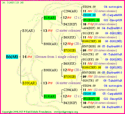 Pedigree of B6(AR) :
four generations presented