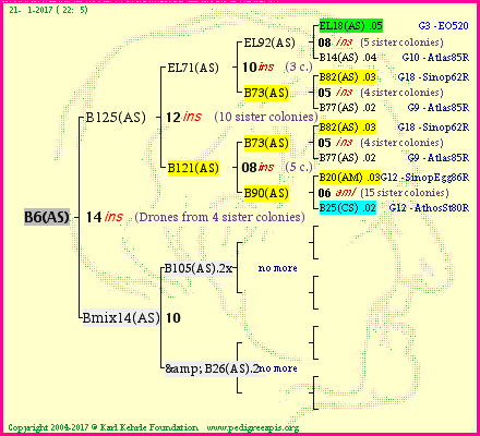 Pedigree of B6(AS) :
four generations presented