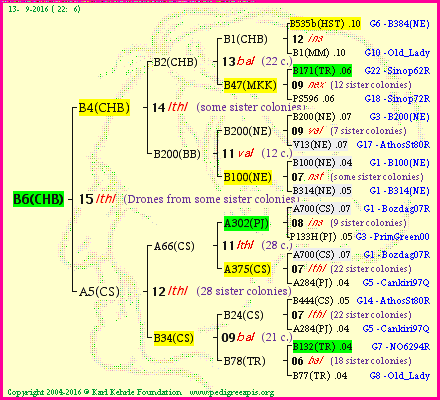 Pedigree of B6(CHB) :
four generations presented