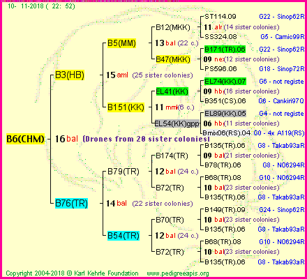 Pedigree of B6(CHM) :
four generations presented<br />it's temporarily unavailable, sorry!