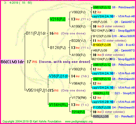 Pedigree of B6(CLM)1dr :
four generations presented<br />it's temporarily unavailable, sorry!