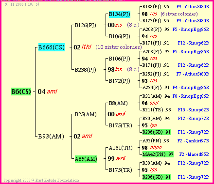 Pedigree of B6(CS) :
four generations presented<br />it's temporarily unavailable, sorry!