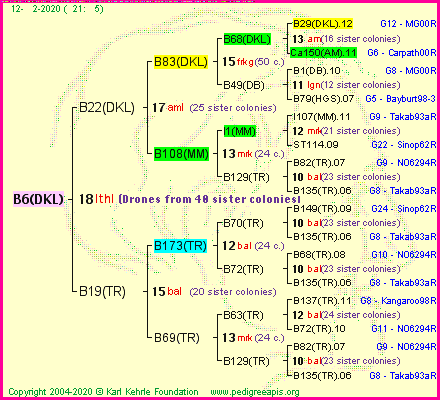 Pedigree of B6(DKL) :
four generations presented<br />it's temporarily unavailable, sorry!