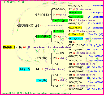 Pedigree of B6(GKT) :
four generations presented
it's temporarily unavailable, sorry!