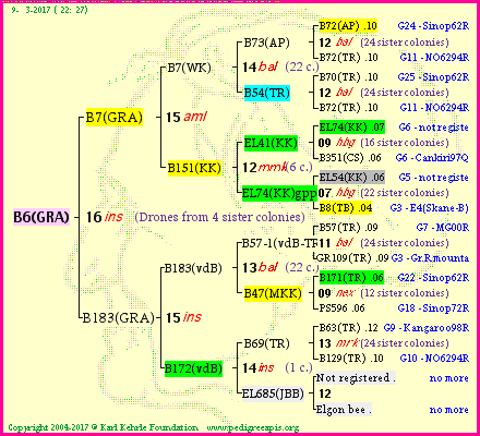 Pedigree of B6(GRA) :
four generations presented<br />it's temporarily unavailable, sorry!