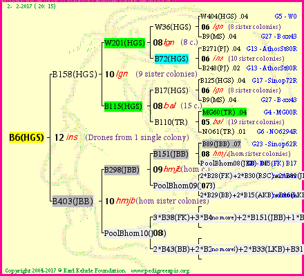 Pedigree of B6(HGS) :
four generations presented