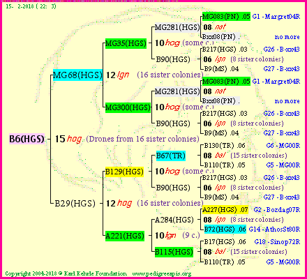 Pedigree of B6(HGS) :
four generations presented<br />it's temporarily unavailable, sorry!