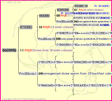 Pedigree of B6(HWB) :
four generations presented