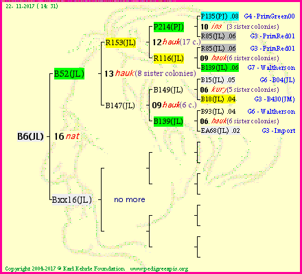 Pedigree of B6(JL) :
four generations presented