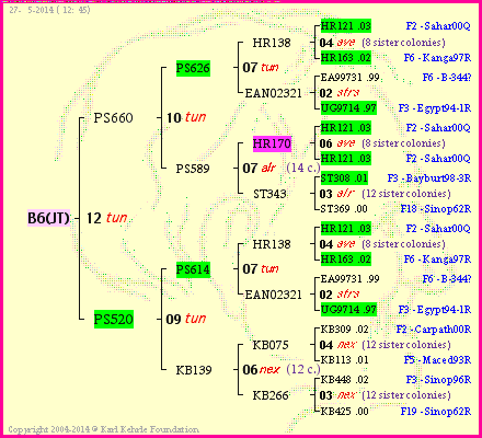 Pedigree of B6(JT) :
four generations presented