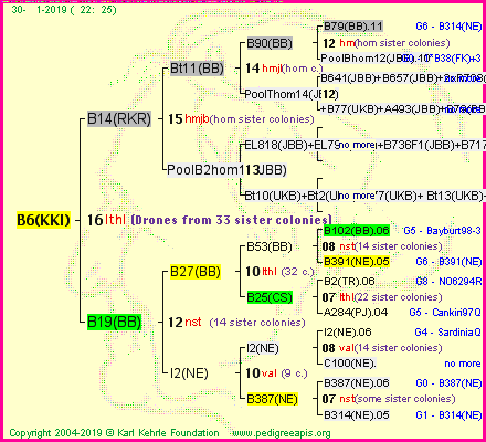 Pedigree of B6(KKI) :
four generations presented<br />it's temporarily unavailable, sorry!