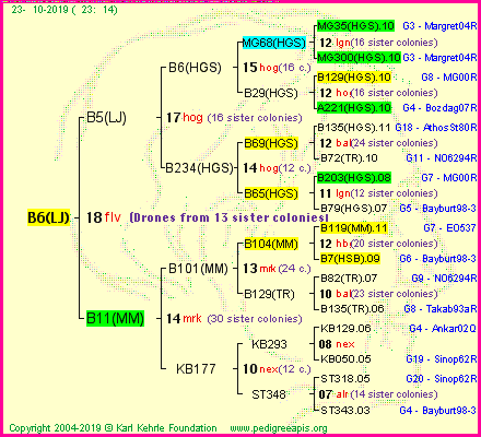 Pedigree of B6(LJ) :
four generations presented
it's temporarily unavailable, sorry!