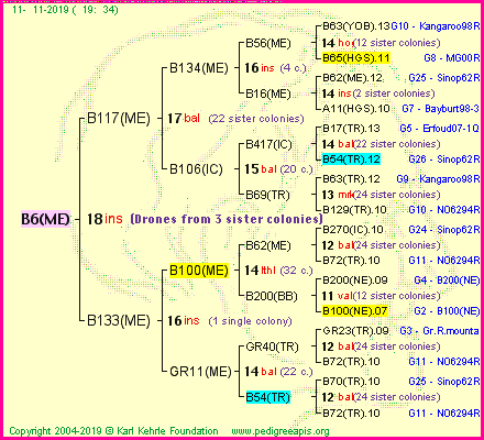 Pedigree of B6(ME) :
four generations presented
it's temporarily unavailable, sorry!