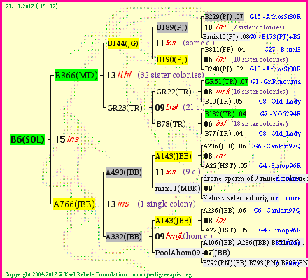 Pedigree of B6(SOL) :
four generations presented
it's temporarily unavailable, sorry!