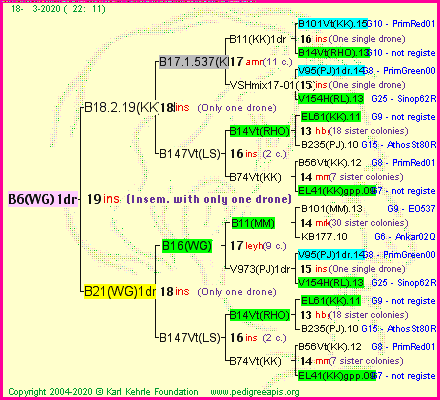 Pedigree of B6(WG)1dr :
four generations presented
it's temporarily unavailable, sorry!