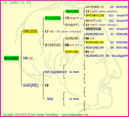 Pedigree of B60(BB) :
four generations presented
it's temporarily unavailable, sorry!