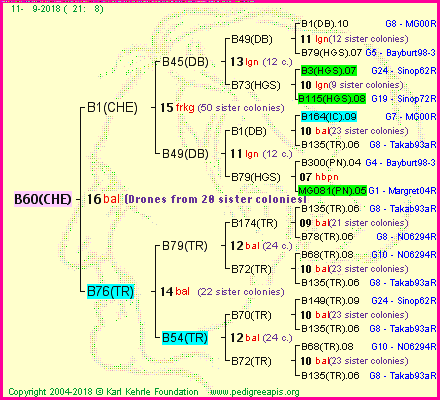 Pedigree of B60(CHE) :
four generations presented
it's temporarily unavailable, sorry!