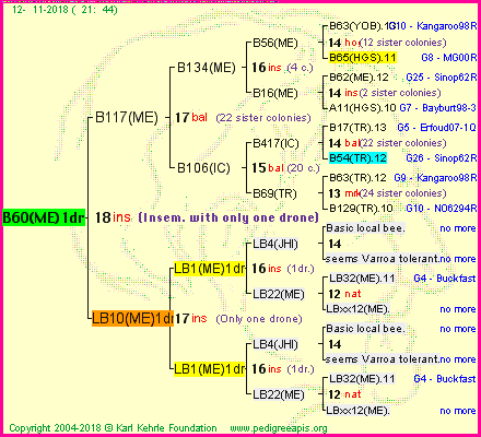 Pedigree of B60(ME)1dr :
four generations presented
it's temporarily unavailable, sorry!