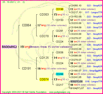 Pedigree of B60(MHG) :
four generations presented
it's temporarily unavailable, sorry!