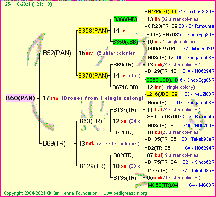 Pedigree of B60(PAN) :
four generations presented
it's temporarily unavailable, sorry!