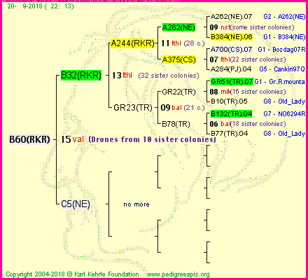 Pedigree of B60(RKR) :
four generations presented<br />it's temporarily unavailable, sorry!